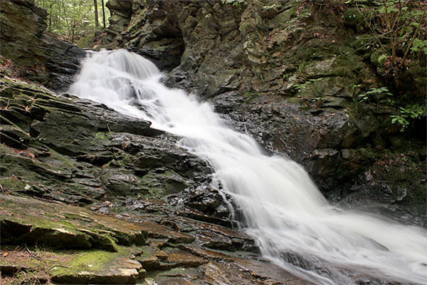 Chesterfield Gorge